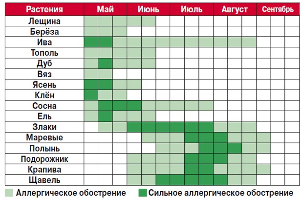 Календарь цветения растений-аллергенов